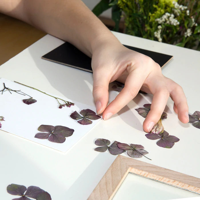 Pressed Flower art Frame