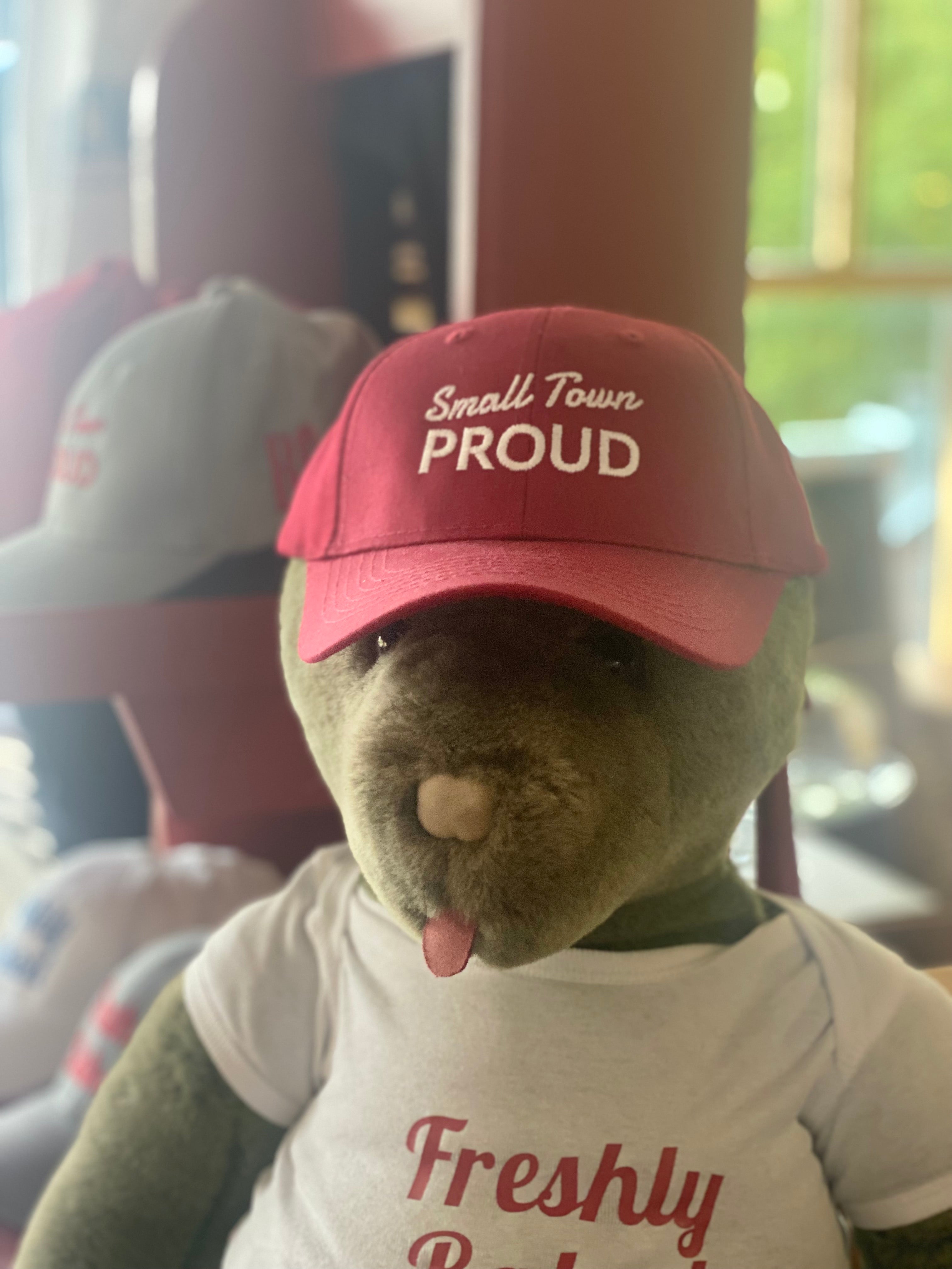 Rosemont General Store Baseball Hats