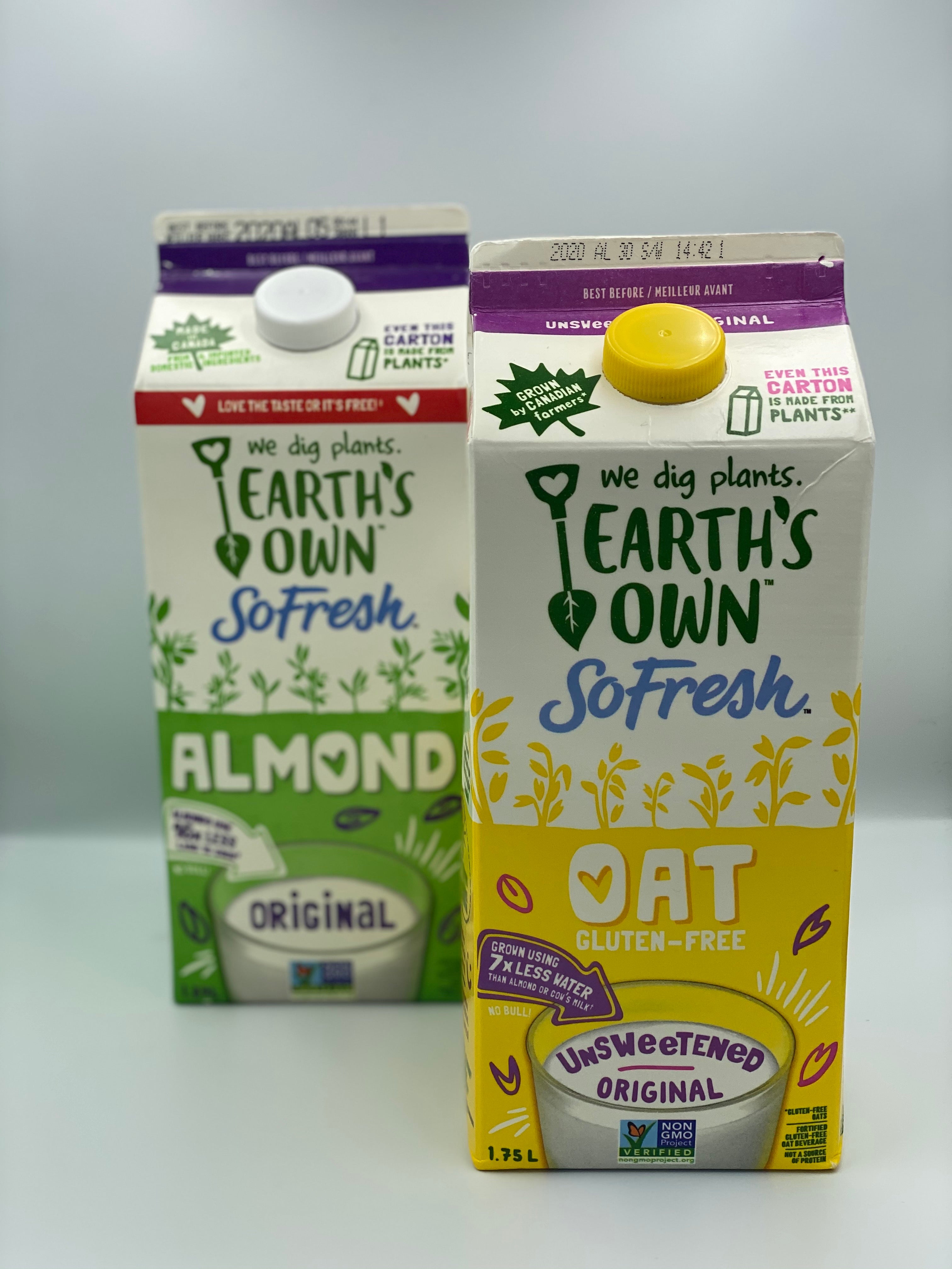 Plant Milk Alternatives