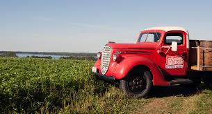 Covered Bridge Potato Chips - Cheddar Cheese Crinkle Cut