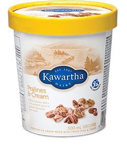 Kawartha 500ml Ice Cream Tub