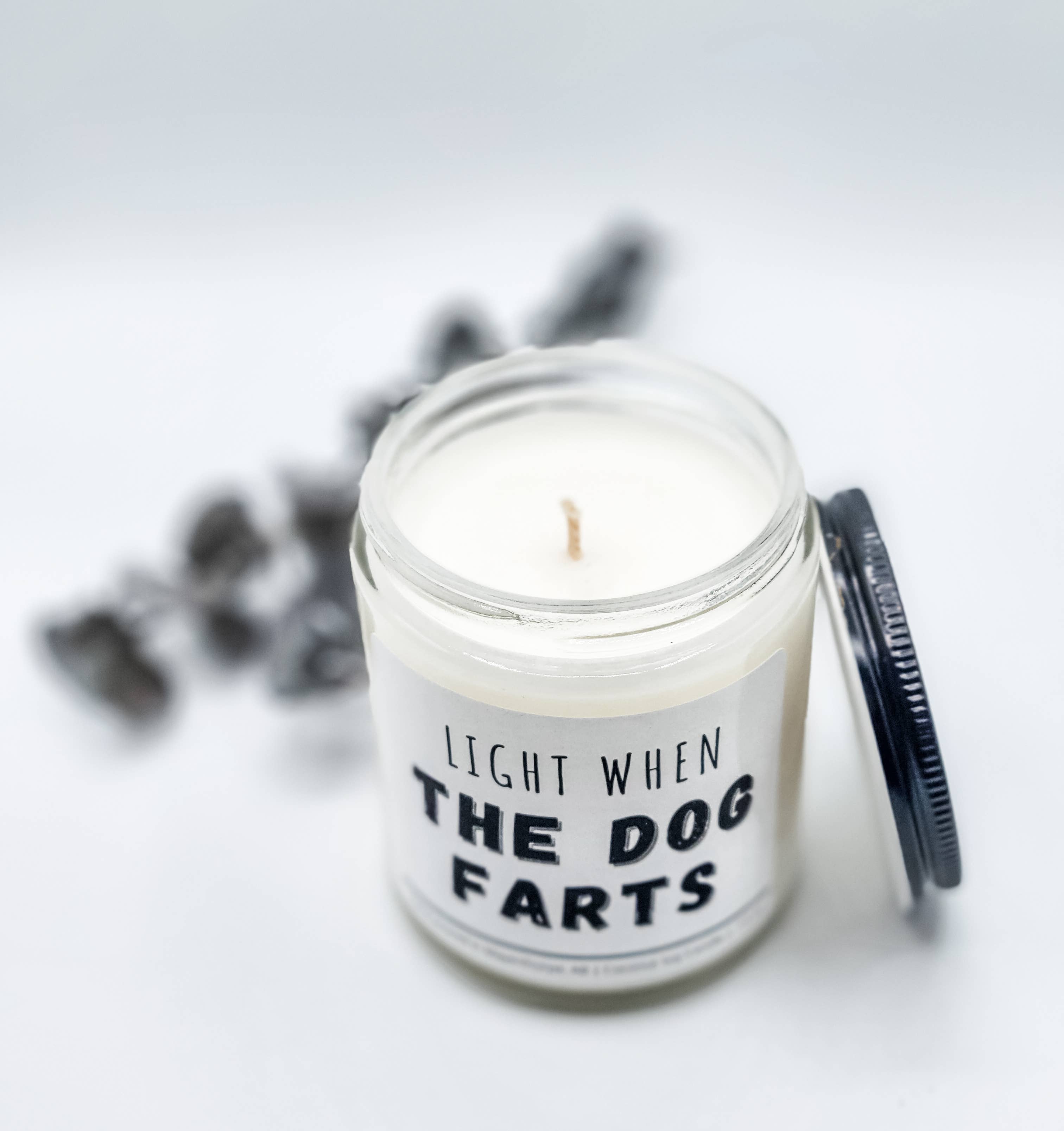 Light when Dog Farts - Funny, Rude, Sweary Candle, Naughty