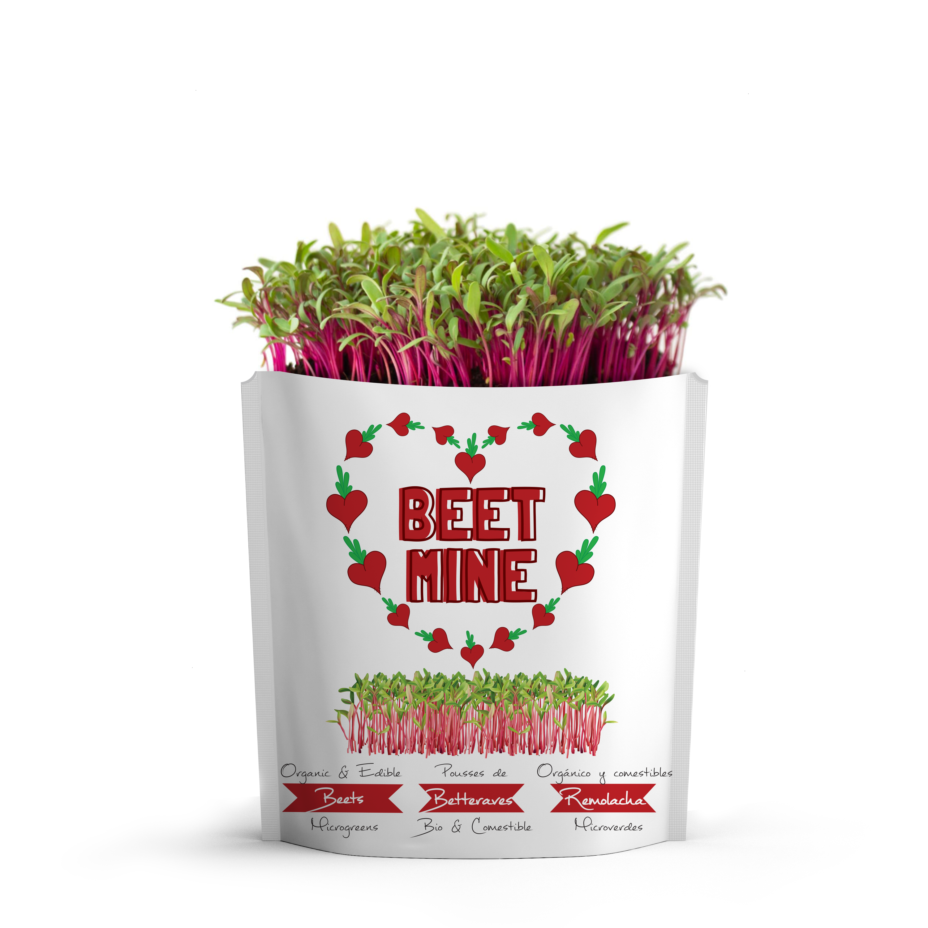 Beet Mine Greeting Card Pouch