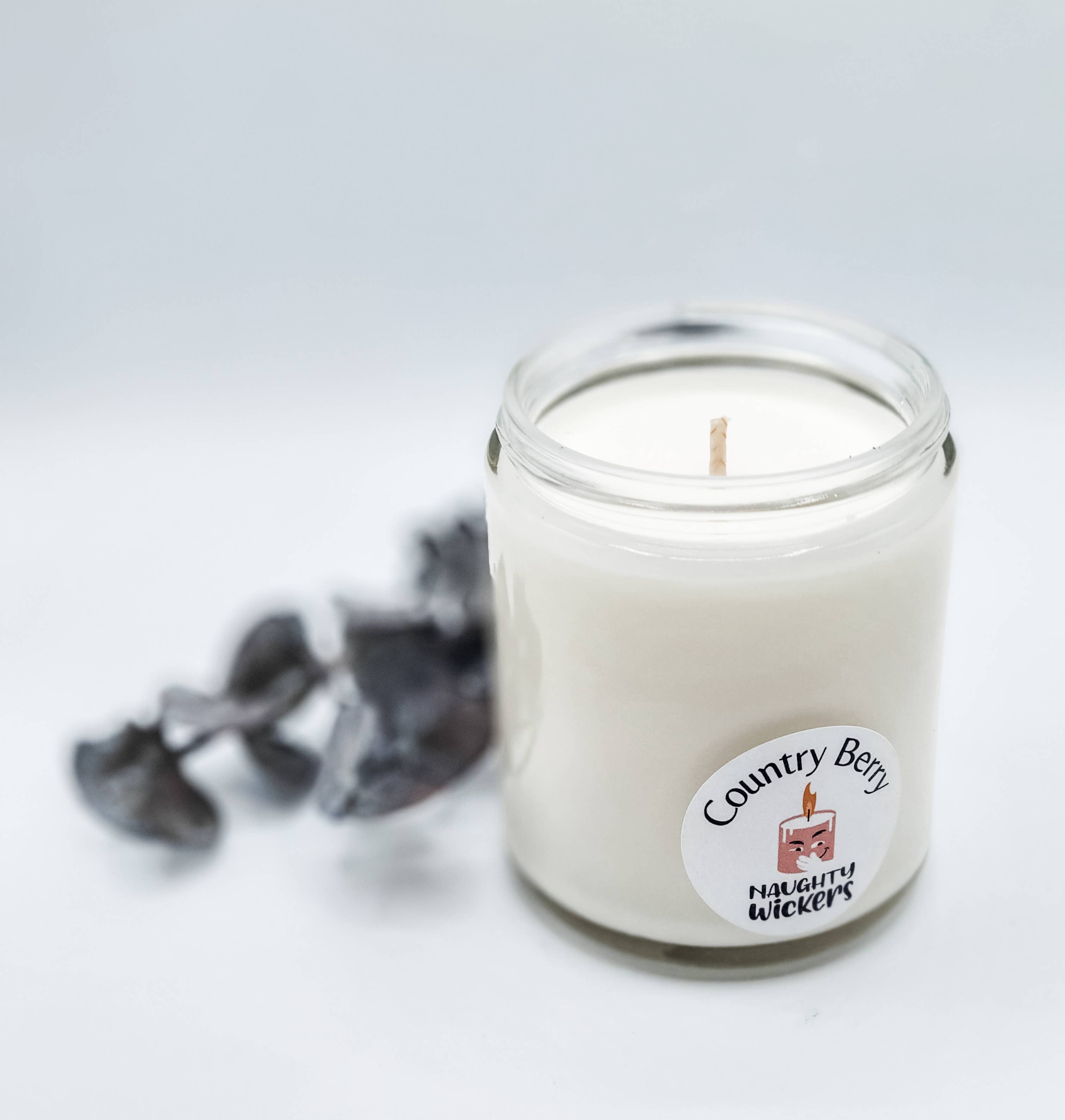 Light when Dog Farts - Funny, Rude, Sweary Candle, Naughty