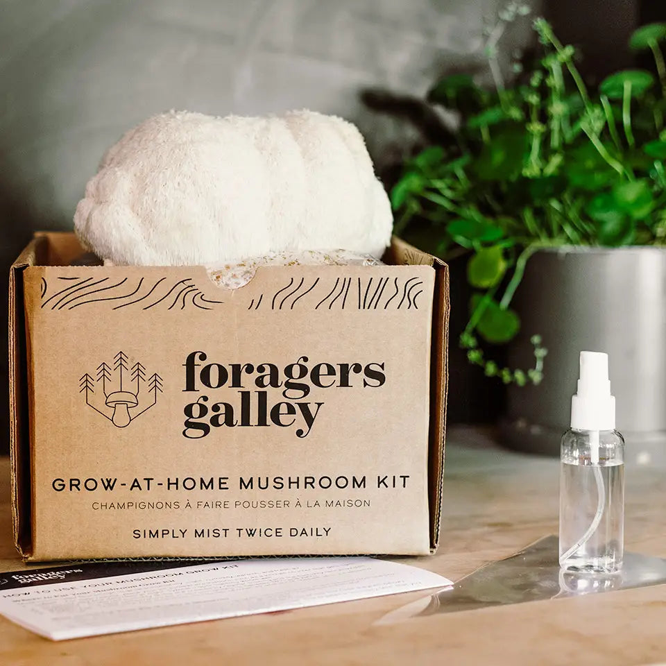 Foragers Gallery Mushroom Kits