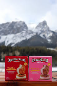 Beaver Tail Ice Cream Sandwich